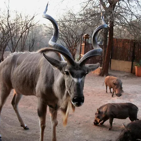 Kiburi Lodge @ Kruger, A Secluded Bushveld Getaway Marloth Park Exterior photo