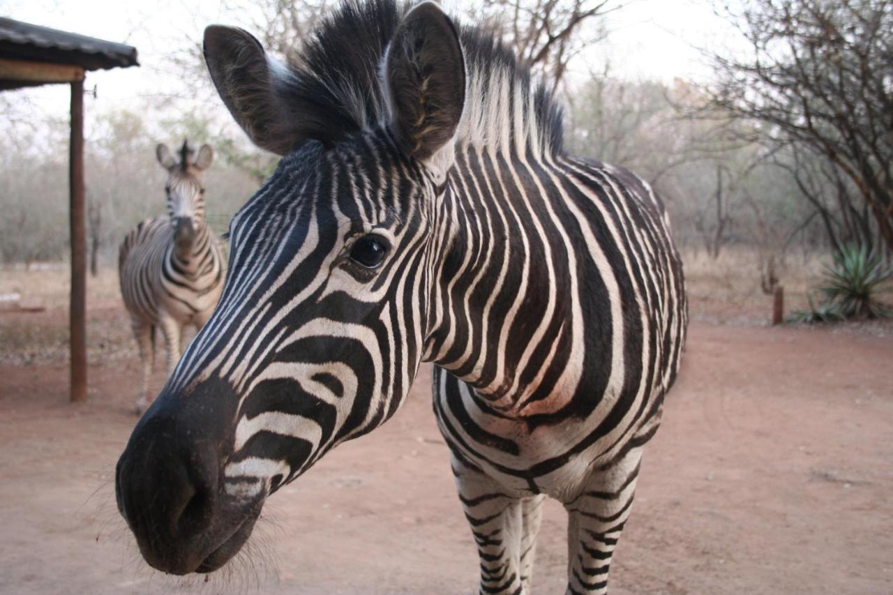 Kiburi @ Kruger, A Secluded Bushveld Getaway Holiday home
