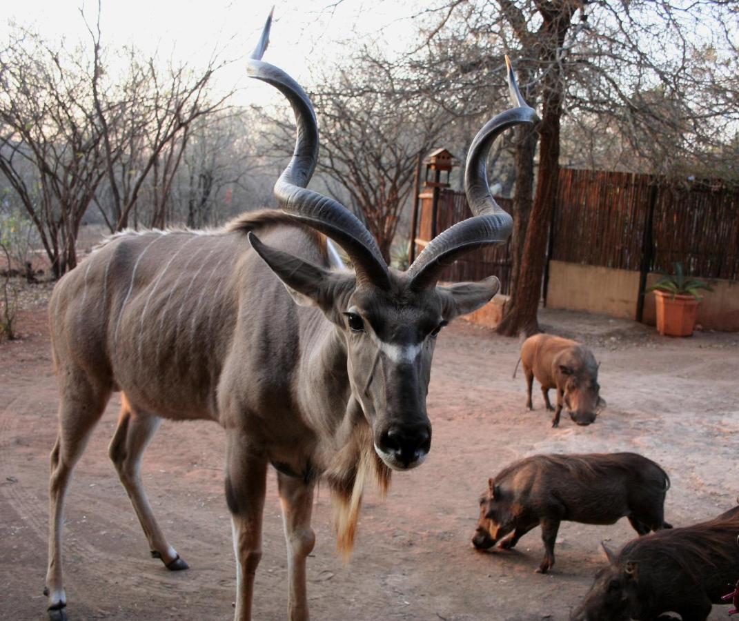 Holiday home Kiburi @ Kruger, A Secluded Bushveld Getaway Marloth Park