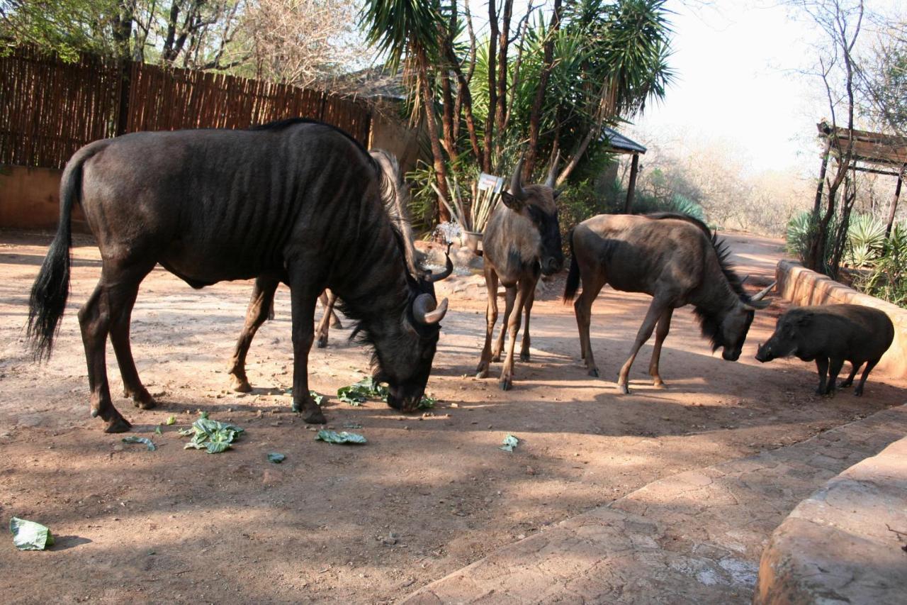 Kiburi @ Kruger, A Secluded Bushveld Getaway *
