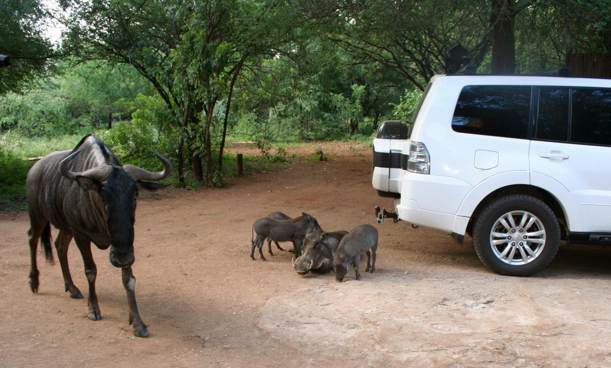 Holiday home Kiburi @ Kruger, A Secluded Bushveld Getaway Marloth Park