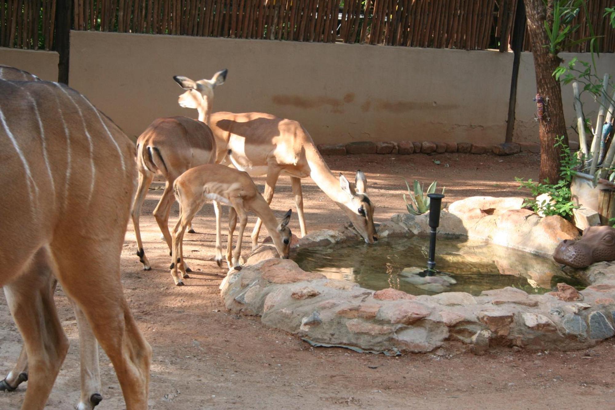 Holiday home Kiburi @ Kruger, A Secluded Bushveld Getaway