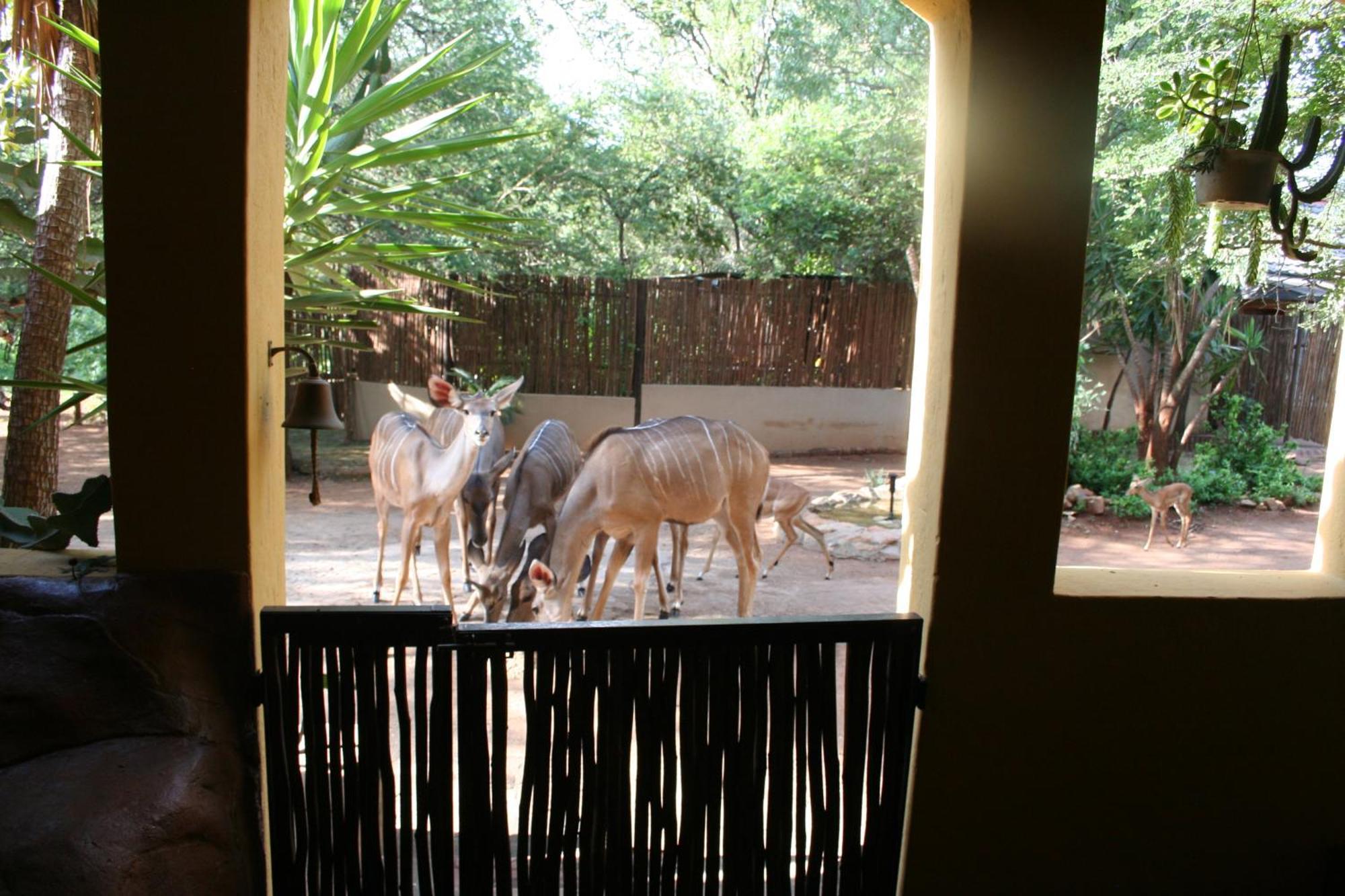 Kiburi @ Kruger, A Secluded Bushveld Getaway