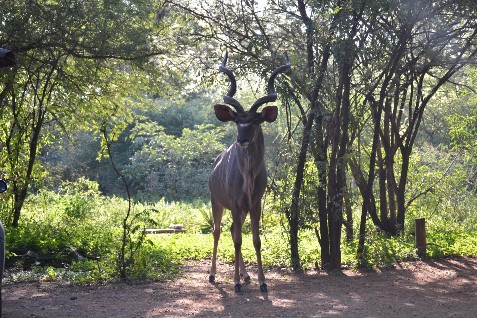 Kiburi @ Kruger, A Secluded Bushveld Getaway Holiday home