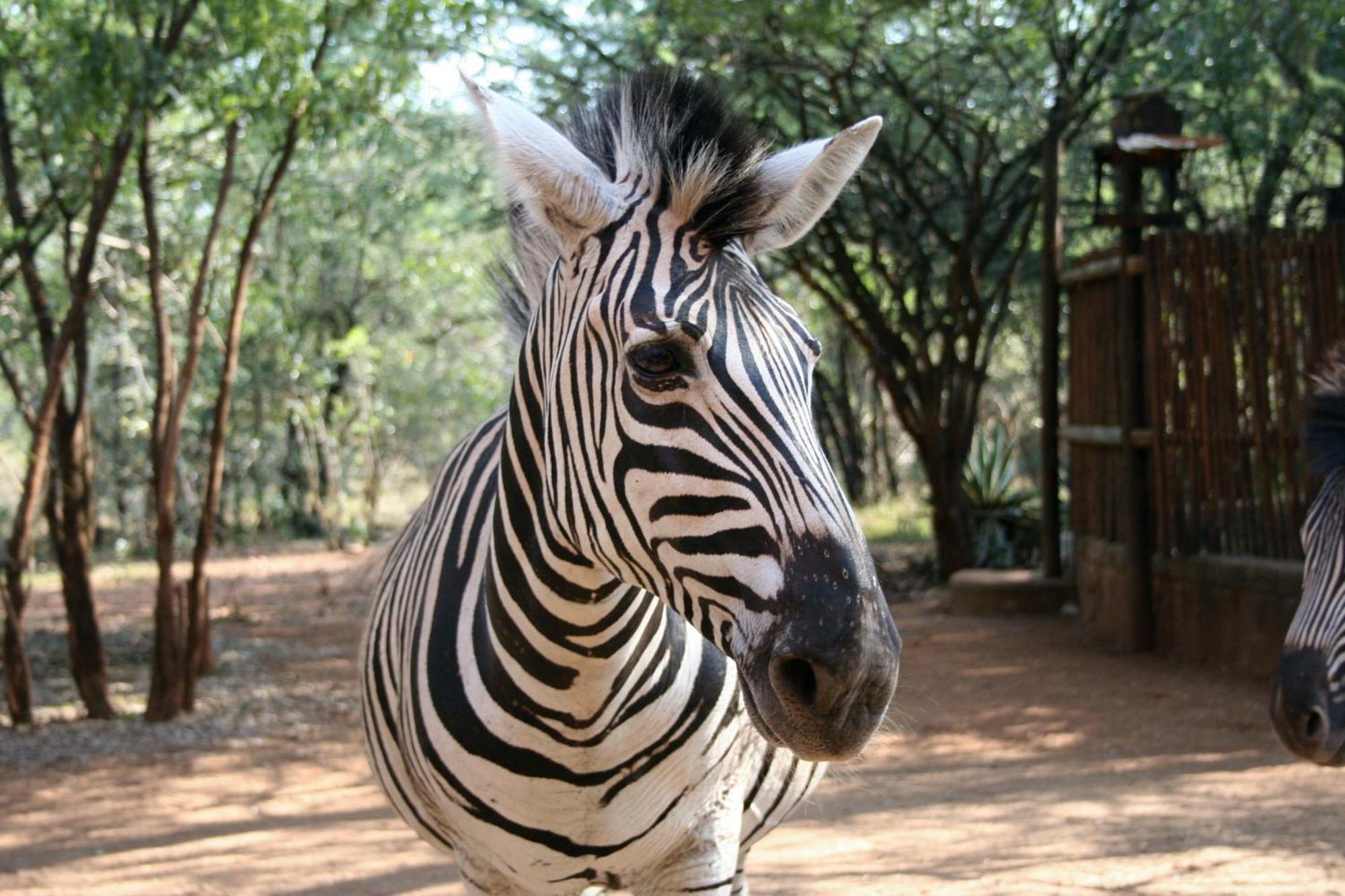 Kiburi @ Kruger, A Secluded Bushveld Getaway Holiday home *