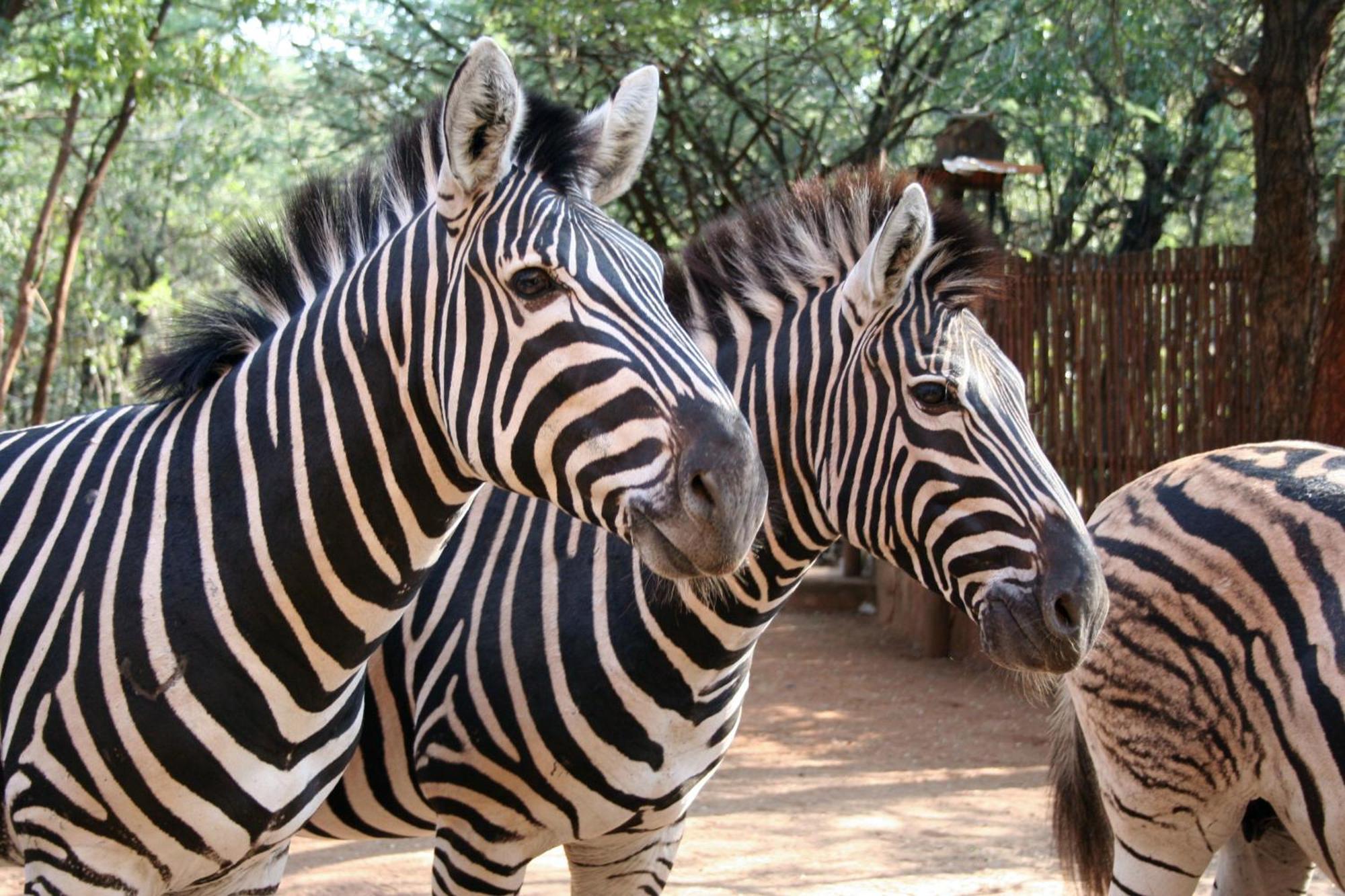 Holiday home Kiburi @ Kruger, A Secluded Bushveld Getaway